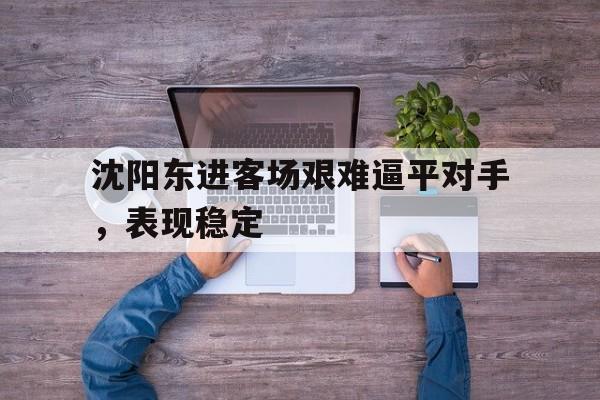 沈阳东进客场艰难逼平对手，表现稳定-平博官网